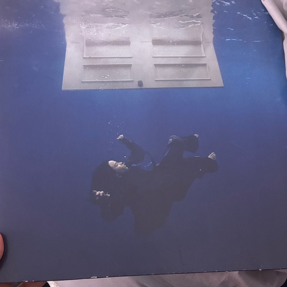Hit me hard and soft vinyl